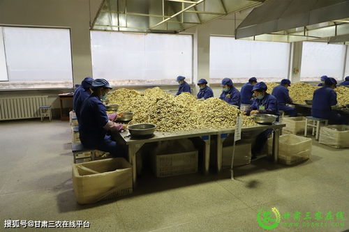 隴西縣實現道地中藥材生產全程可追溯，助力醫藥教學器材升級